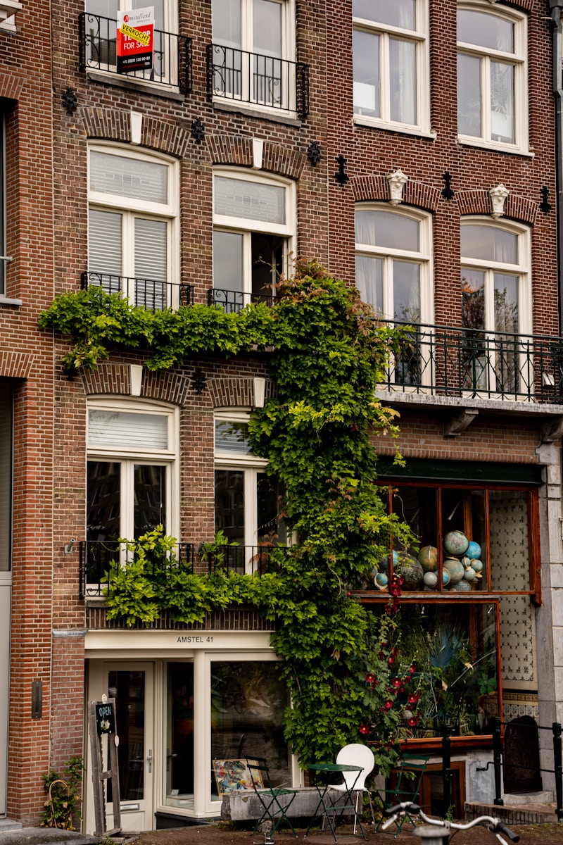 a tree in front of a building